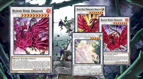 You can craft Red Rose Dragon using CP-Ns. . Rose dragon deck